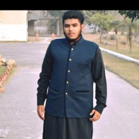 Muhammad Moeez Iqbal