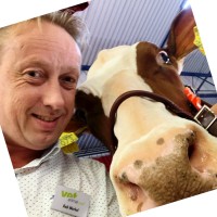 Rob Workel
