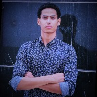 sabry mohmed