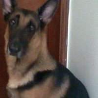 Alfonso Mario Linares