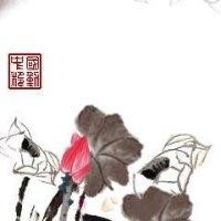 赵海晓