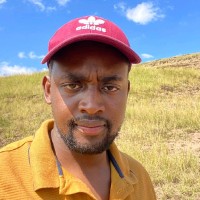 Mandla Mhlongo