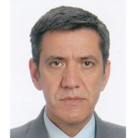 Levent Tanridag