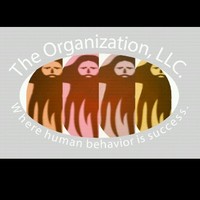 The Organization
