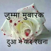 Hanif Shaikh