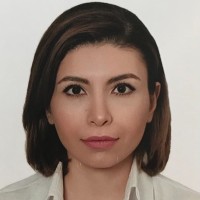 Mandana Shojaeinejad