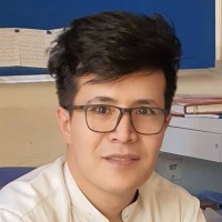 Sayed Yaqub Hashimi