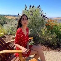Sahar Hajhassan