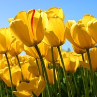 Maria Cecilia Alvarez Garcia