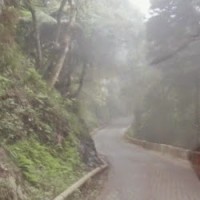 Furqan Mudabbir