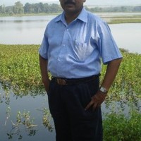 Hanif Ahmed