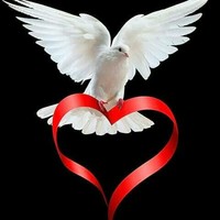 Yahia Atfy