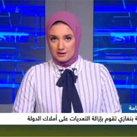 Samar Fahmy