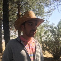 Mojtaba Shojaei