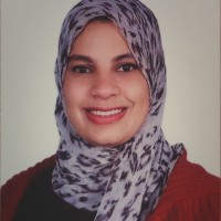 Dina Samir