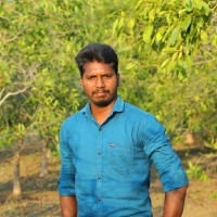 Vignesh J