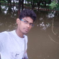 Muthumani M