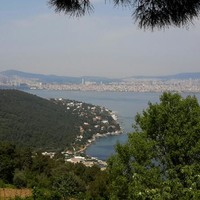 Faruk ÜSTÜN