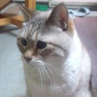 関戸勇太