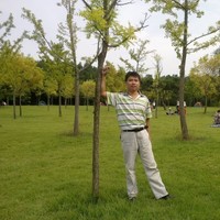 Hongyan Li