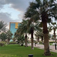 SARAH AL ASKAR