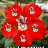 Upendra Upee
