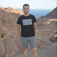 Mohamed Kamel