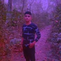 Biplab K