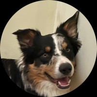 Sir Blake Duke of Olsberg