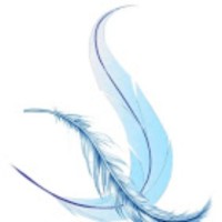 The Softline Export