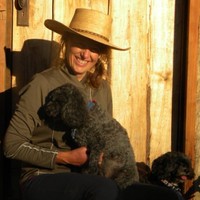 Dalene Whiley