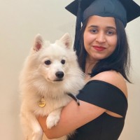 Nikita Ravish