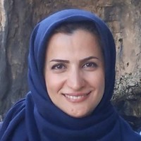 Somayeh Mohammadi