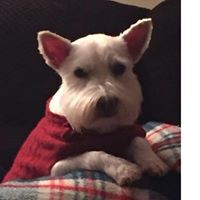 Nappie Butler