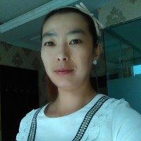 赵晓庆