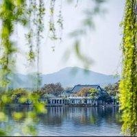 李树丽