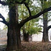 蒋荣祥