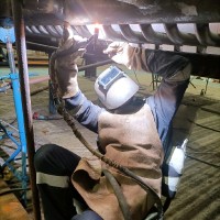 Oscar Castanedo cavia