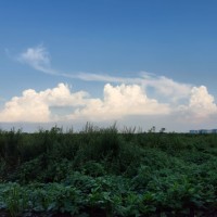 任泽东