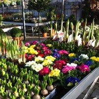 Gert Tuincentrum