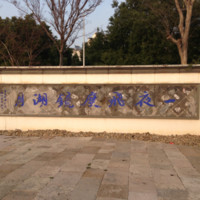 陈剑飞