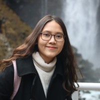 Nguyen Thuy Linh Duong