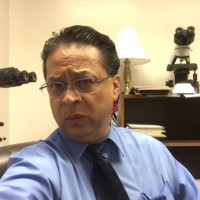 Alan Oroxom Md