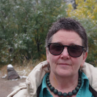 Jo Lynne Fenger