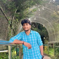 Vamsi Krishna Chepuri