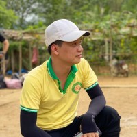Anh Vũ