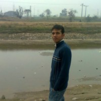 Mian Wasim