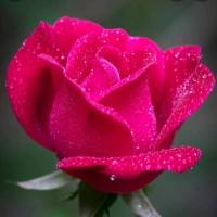 Jk Arun