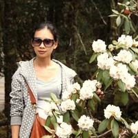 Lisa Xue