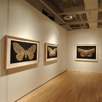 Exhibit Intern